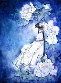 网王--妖冶如火