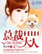 豪门童养媳:hello,总裁大人